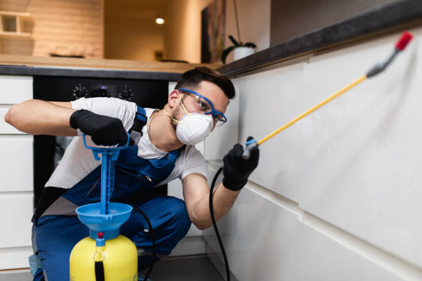Best Affordable Pest Control Services  in Medina, MN