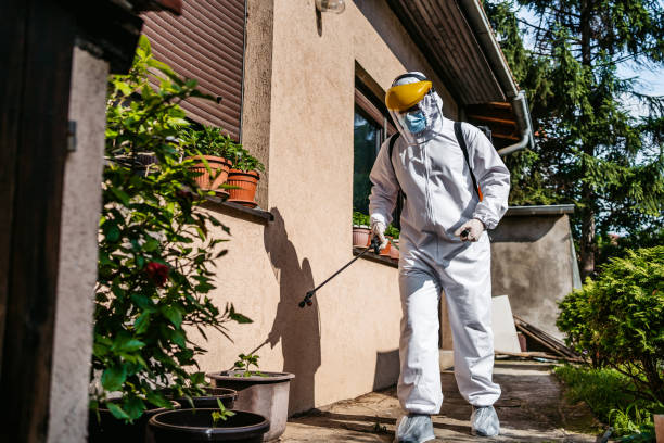 Best Residential Pest Control  in Medina, MN