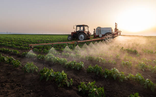 Best Commercial Pest Control Services  in Medina, MN